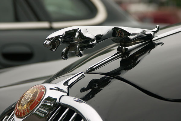 Jaguar sommarmöte, Linköping, aug 2010