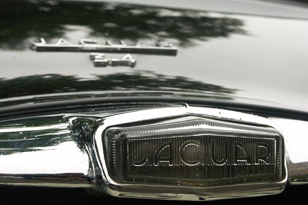 Jaguar sommarmöte, Linköping, aug 2010