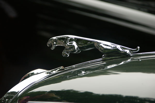 Jaguar sommarmöte, Linköping, aug 2010