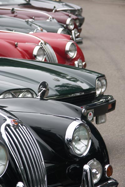 Jaguar sommarmöte, Linköping, aug 2010