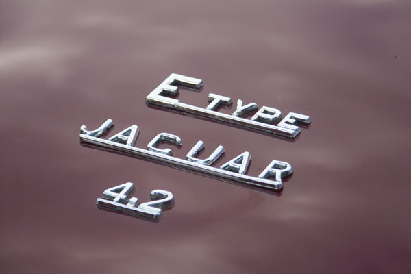Jaguarträff vid Brostugan 3 juni 2010