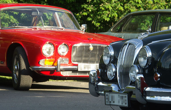 Jaguarträff vid Brostugan 3 juni 2010
