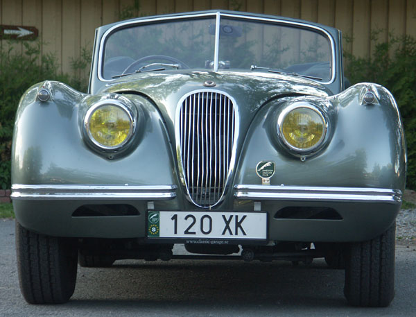 Jaguarträff vid Brostugan 3 juni 2010