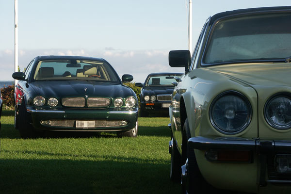 Jaguar sommarmöte, Öland, aug 2011