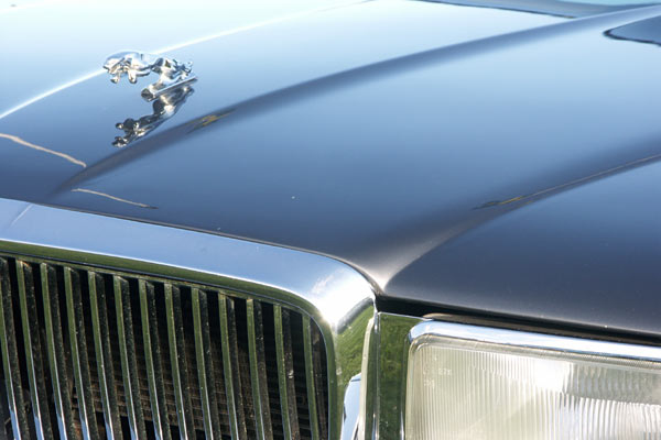 Jaguar sommarmöte, Öland, aug 2011