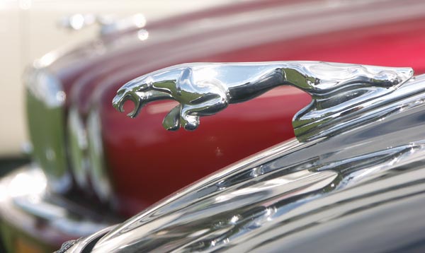 Jaguar sommarmöte, Öland, aug 2011