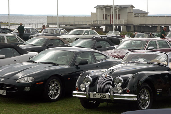 Jaguar sommarmöte, Öland, aug 2011