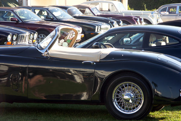 Jaguar sommarmöte, Öland, aug 2011