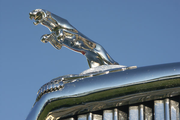 Jaguar sommarmöte, Öland, aug 2011