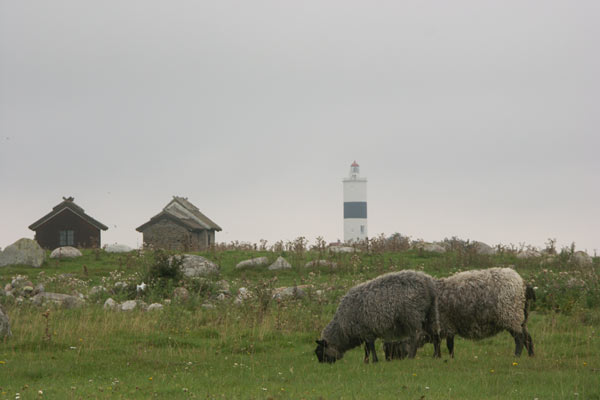 Öland, aug 2011