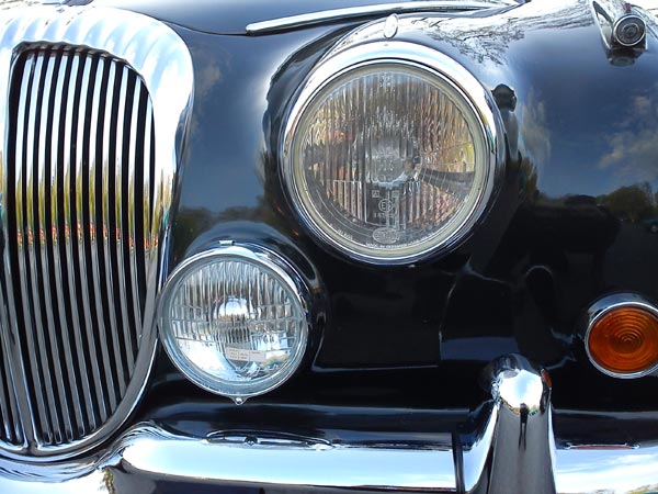 Jaguarträff vid Brostugan 5 maj 2011