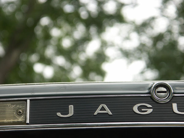 Jaguarklubbens sommarmöte, Aronsborg, aug 2012