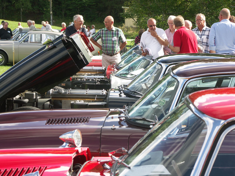 Jaguarklubbens sommarmöte, Vann, aug 2013