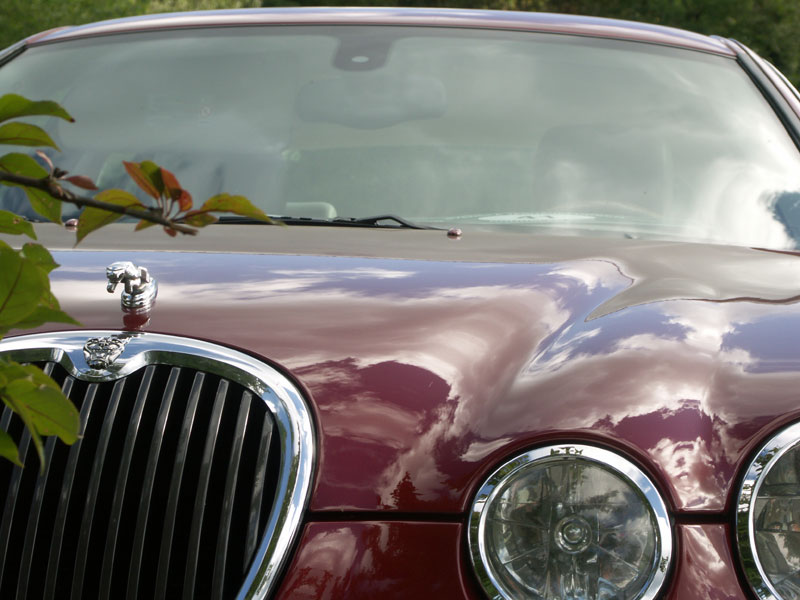 Jaguarklubbens sommarmöte, Vann, aug 2013