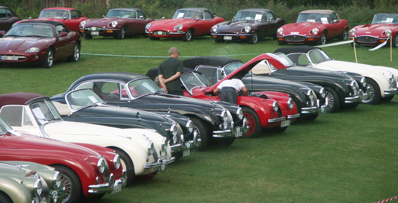 Jaguarklubbens sommarmöte, Vann, aug 2013