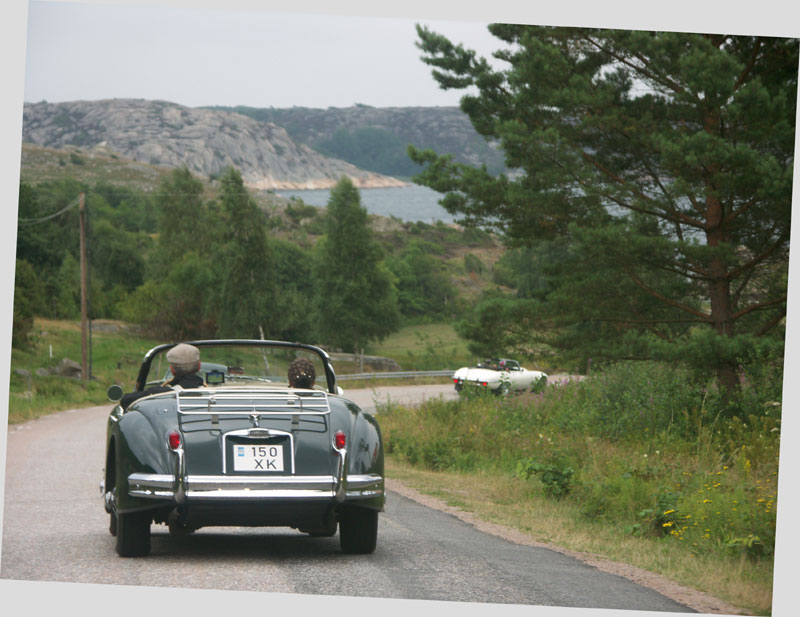 Jaguarklubbens sommarmöte, Vann, aug 2013