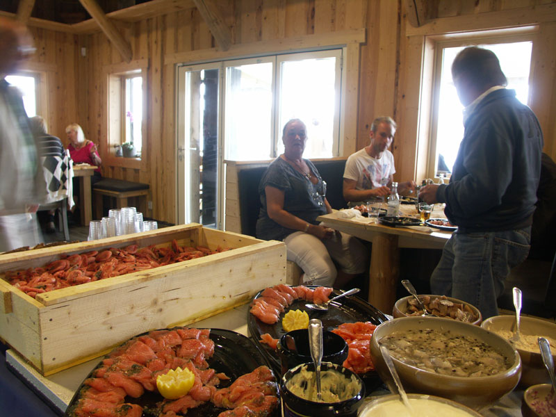 Jaguarklubbens sommarmöte, Vann, aug 2013
