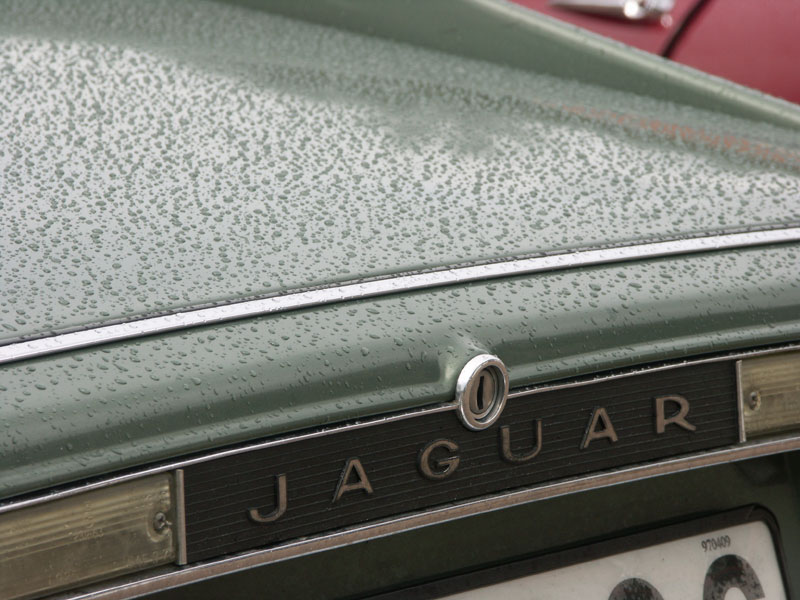 Jaguarklubbens sommarmöte, Vann, aug 2013