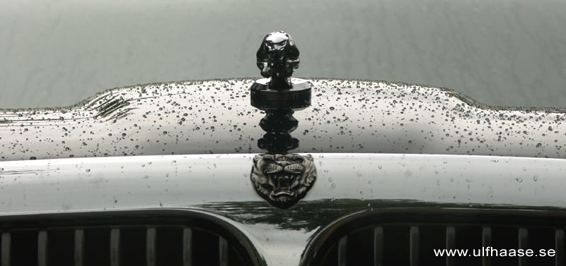 Jaguar XJ8 (X308)