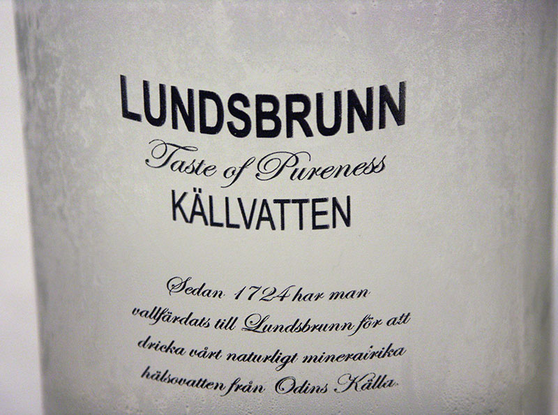 Jaguarklubbens sommarmöte, Lundsbrunn, aug 2015