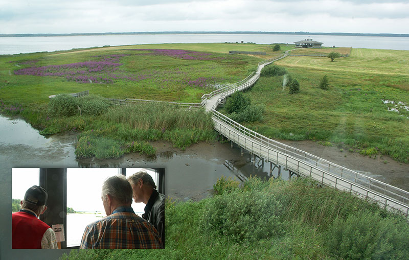 Jaguarklubbens sommarmöte, Lundsbrunn, aug 2015