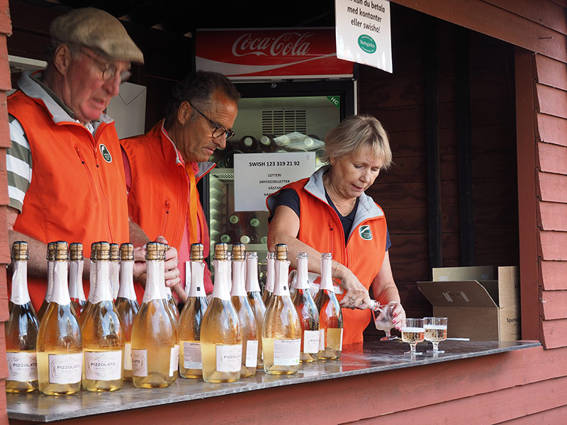 Jaguarklubbens sommarmöte, Vadstena, aug 2018