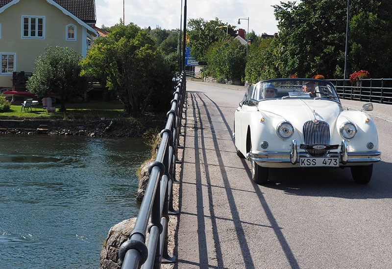 Jaguarklubbens sommarmöte, Vadstena, aug 2018