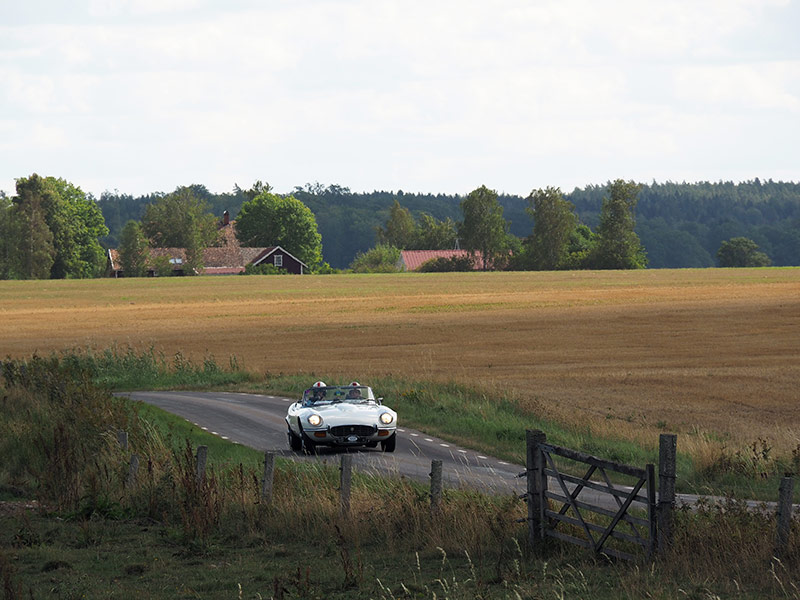 Jaguarklubbens sommarmöte, Vadstena, aug 2018
