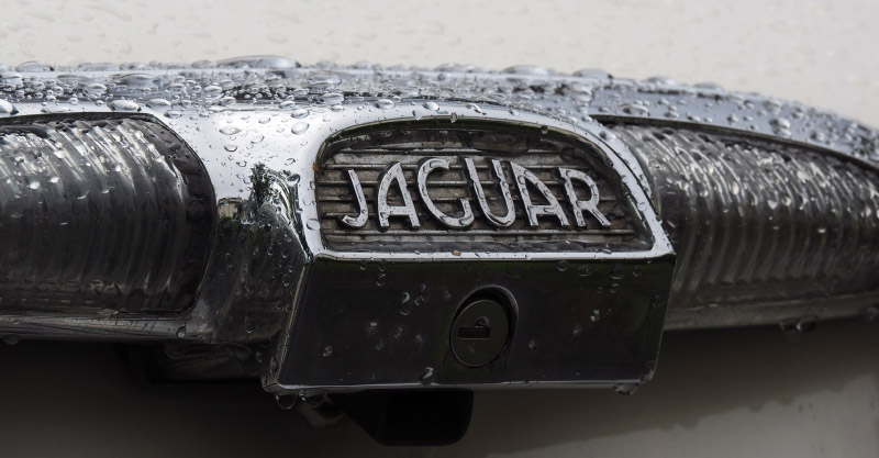 Jaguarklubbens sommarmöte, Aronsborg, aug 2019