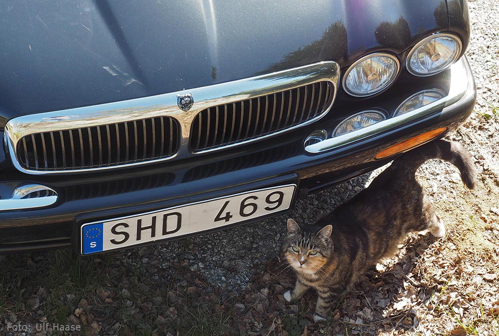 Svenska Jaguarklubben, utflykt till Hedlandet och Torshälla.
