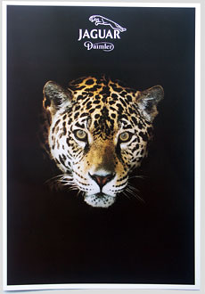Jaguar Daimler brochure