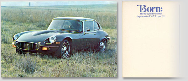Jaguar E-type postcard